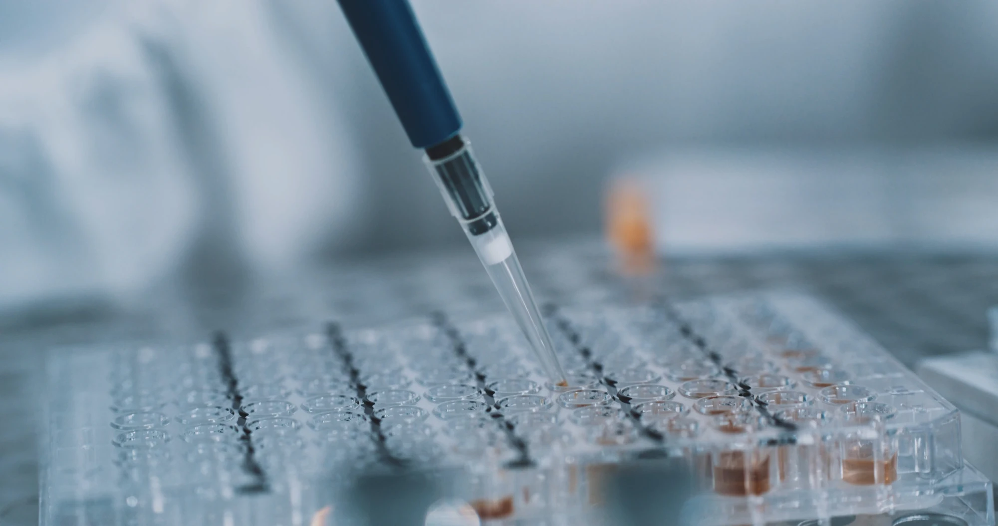 Pipette über einer Laborplatte als Motiv biomedizinischer Forschung.