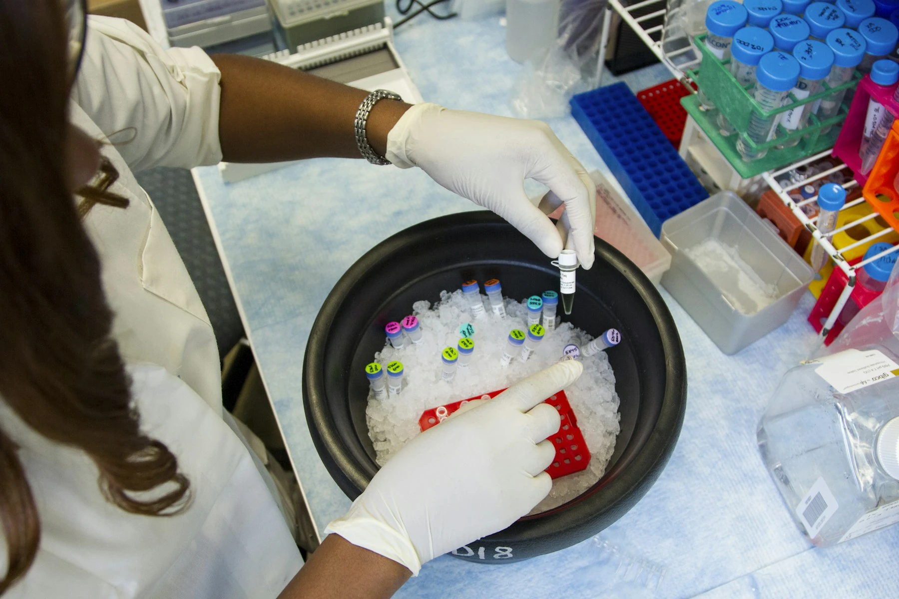 Vorbereitung gekühlter Proben für eine molekularbiologische Untersuchung im Forschungslabor.